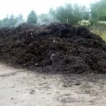 An example of commercial windrow composting.